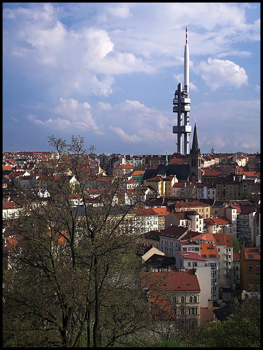 Žižkov