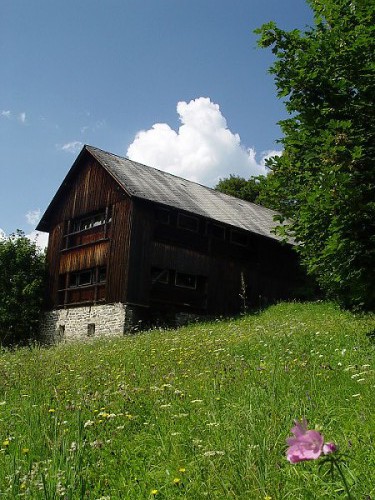 Pekařov  okr.Velké Losiny