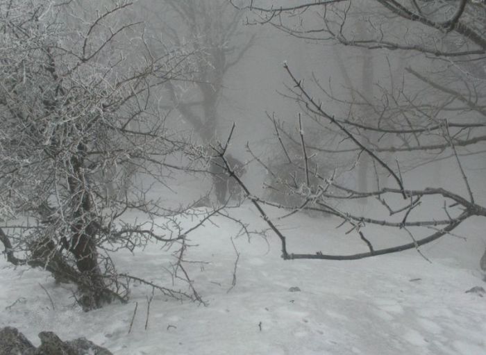 stratení