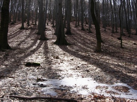 Dolina Hlboča , Smolenice , Slovensko