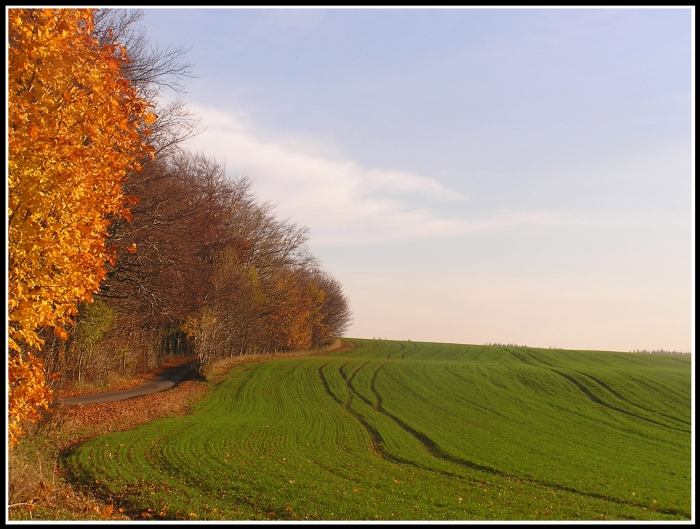 Podzim