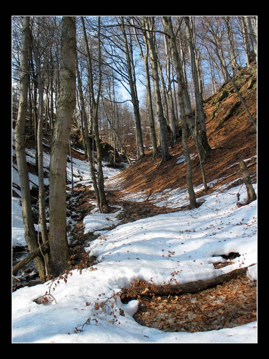 Krušnohoří