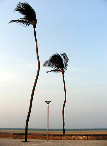 {i|  -  sever brasil