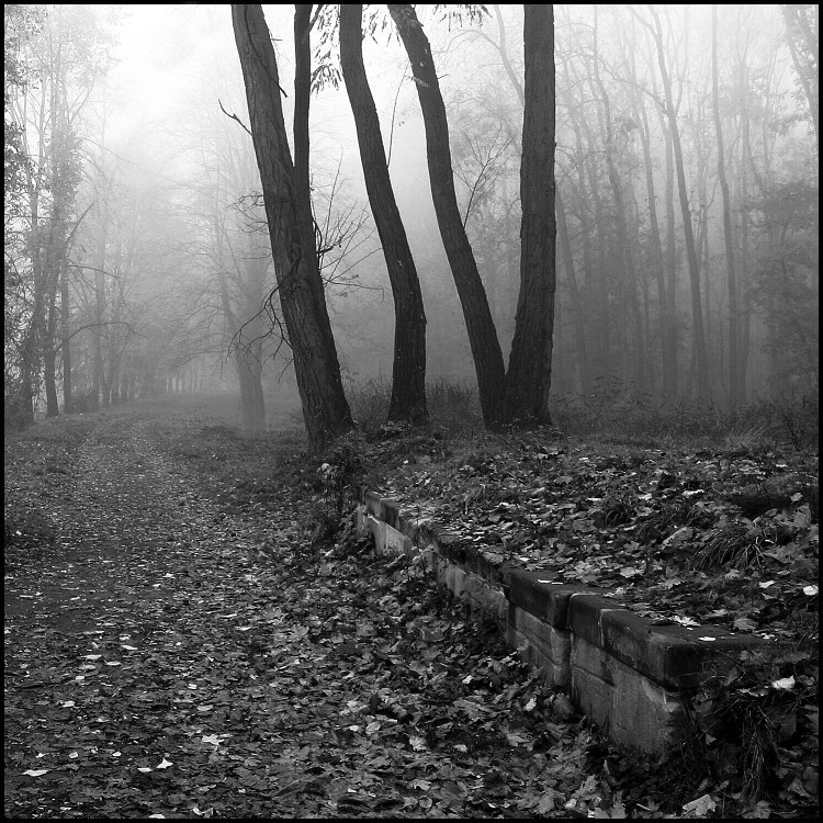 Návraty do veltruského parku XII.