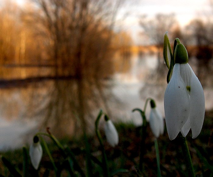 smutne rande po zapade slnka