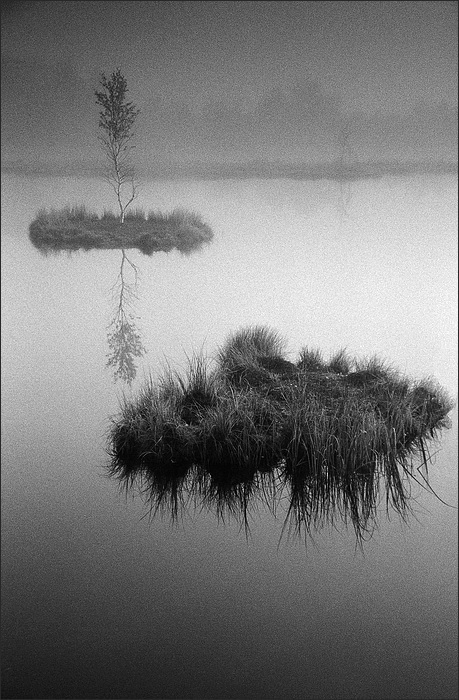Šumavské pastorále..  Chalupská