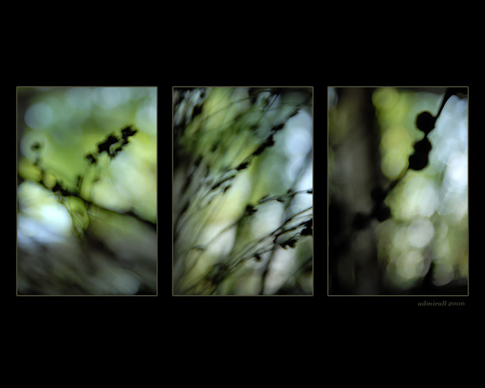 Abstraktné etudy I.