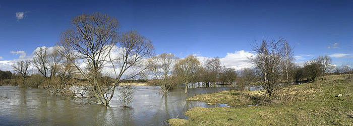 Ploučnice