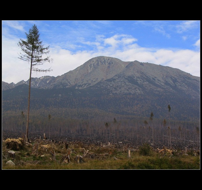 Osamelý v mesačnej krajine