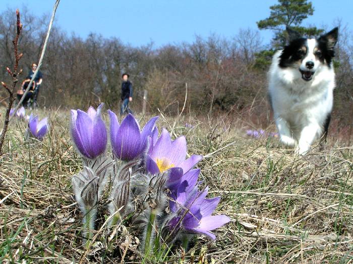 poslední vteřina života fotografova