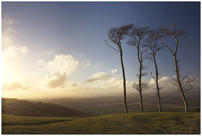 Chanctonbury Ring /Jizni Anglie