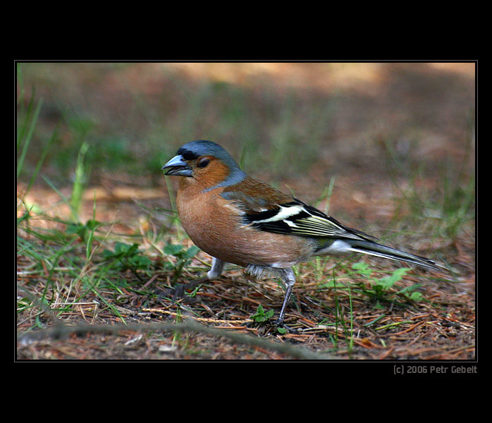 ...soupeř přichází