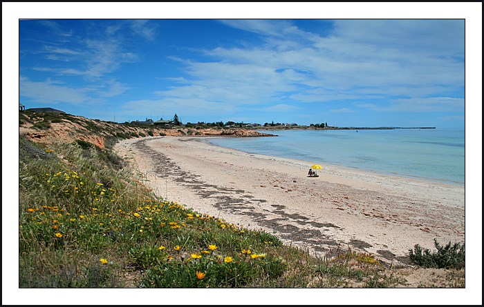 Žluté ozdoby léta