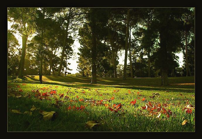 Podzimní večer v parku