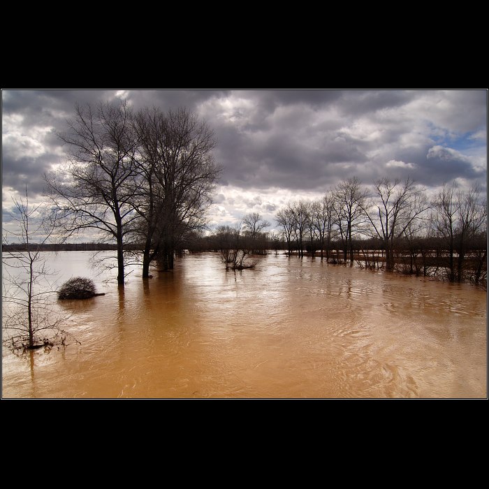 Morava