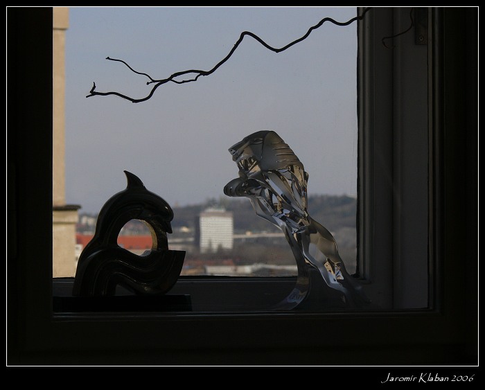 Český lev za oknem