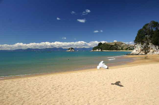 Golden Bay