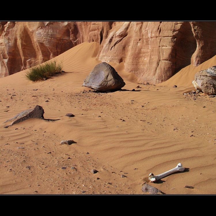 Wadi Rum