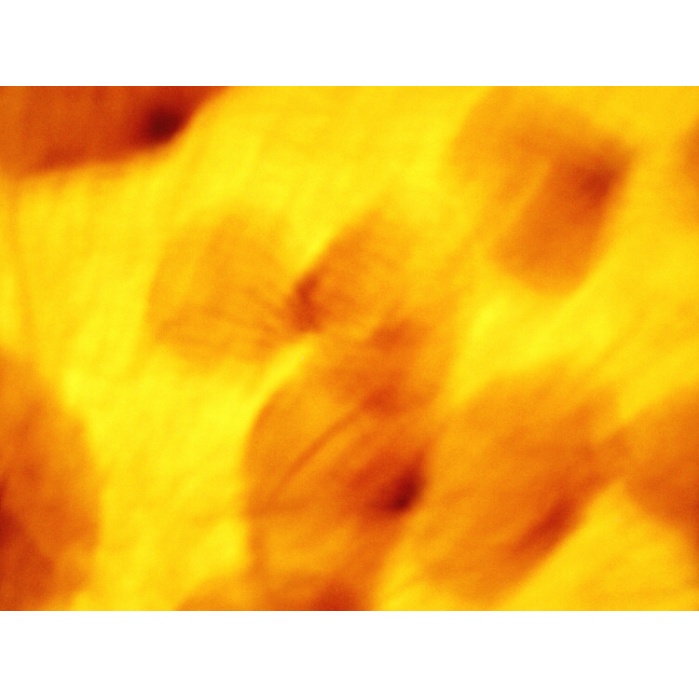 erotikon