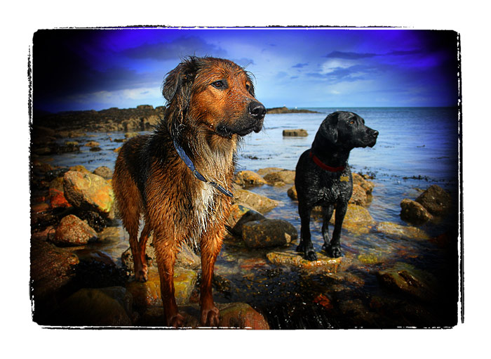**Best friends**