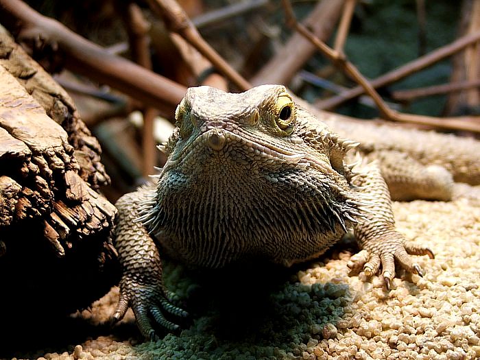 ...moc na mě nečum...