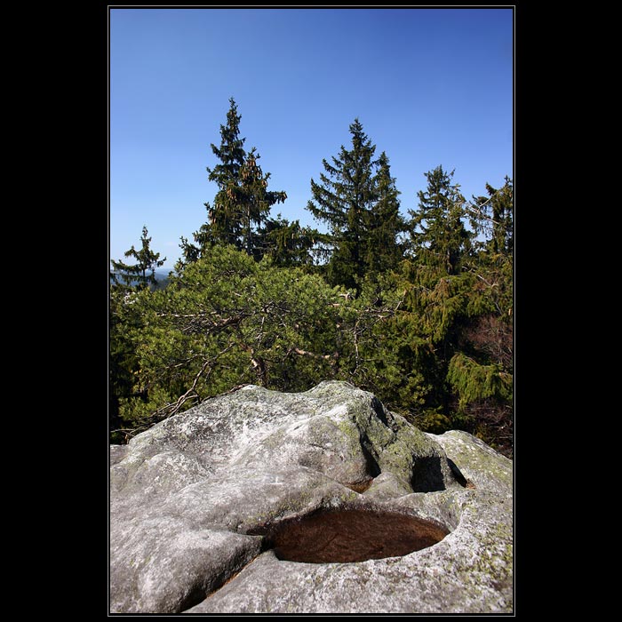 Z výletu na Vysočinu II.