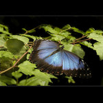 .: Jen tak si tu sedím :.