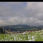  ... namažu záda, ráno se probudím, zas ku*** padá ...