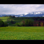 Jaro II - pokosená nepokosená