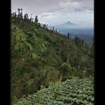 Sopka Welirang