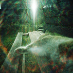 kocouří  \"starosti\"