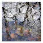 Příliš sledovaný polibek