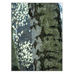 Co nám mohou prozradit?