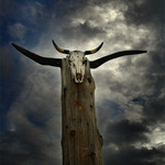 Bojk .. .. Totemus ...  ...