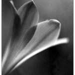 čekání na světlo