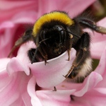 Právě před odletem.