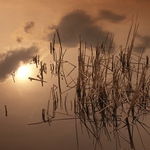 Slunce na vodní hladině.