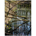 ...spadnutý most...