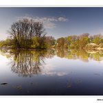 Jarní ráno u rybníka