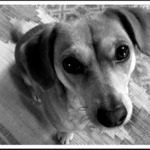 V jej ociach by sa utopil aj Titanik