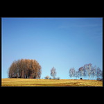 Jaro u Pusté Rybné