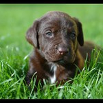 ..teprve 4 týdny za sebou :-)