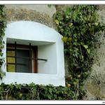 Okienko do minulosti