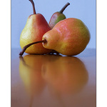 tři grácie po roce