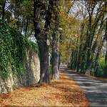 Podzimní náladovka