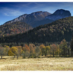Muráň
