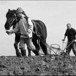 ...jako každý rok...