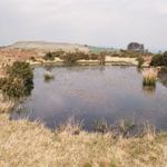 Wales 1