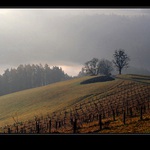 .. ranní rozhledy ..