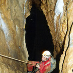 Ursus speleus v komíně